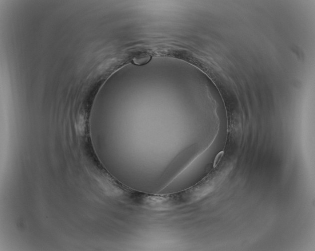 X0000113030139200908271503