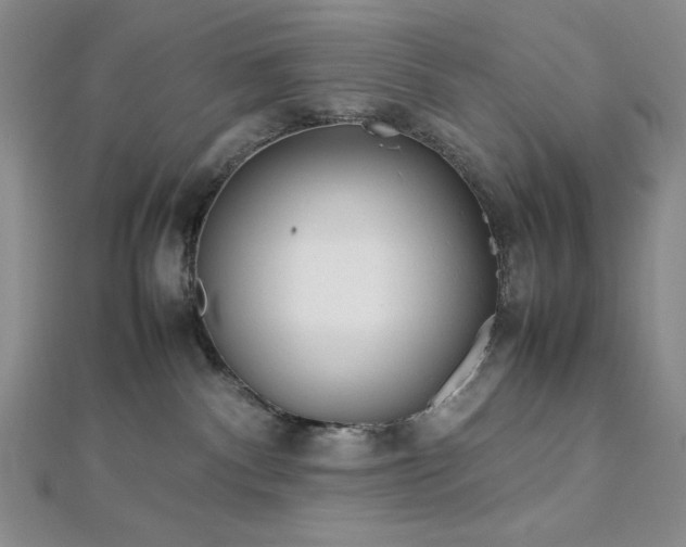 X0000113030140200908271503