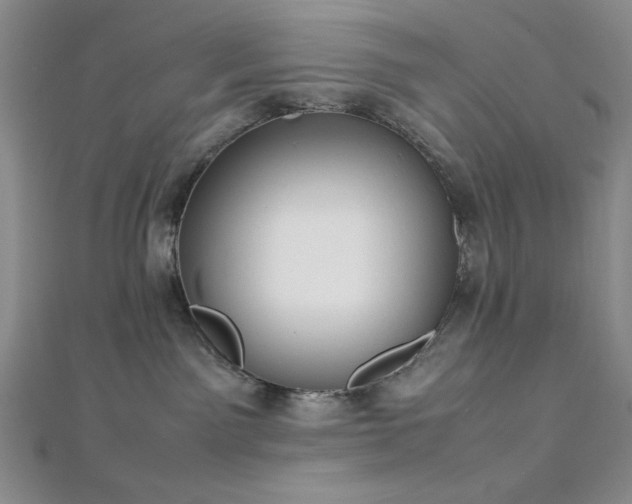 X0000113030141200908271503