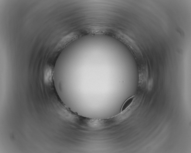 X0000113030142200908271503