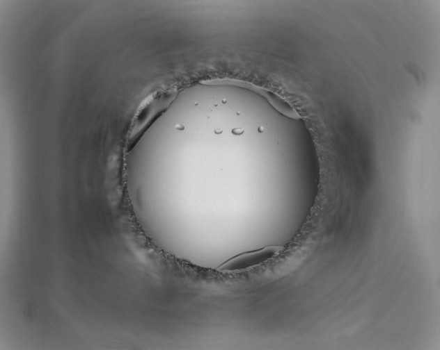 X0000113030144200908271503