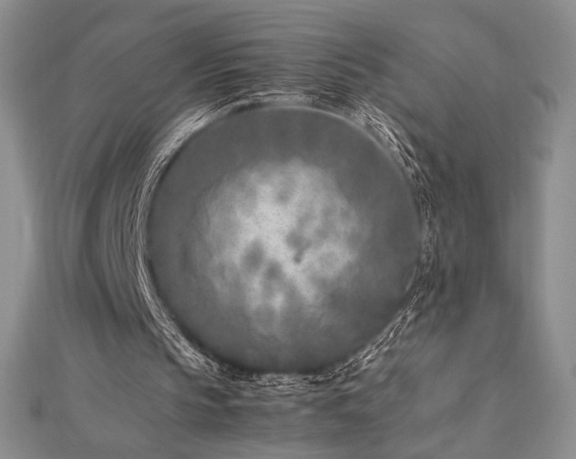 X0000113030145200908271502