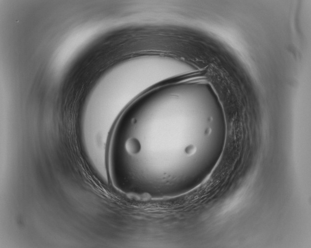 X0000113030146200908271502