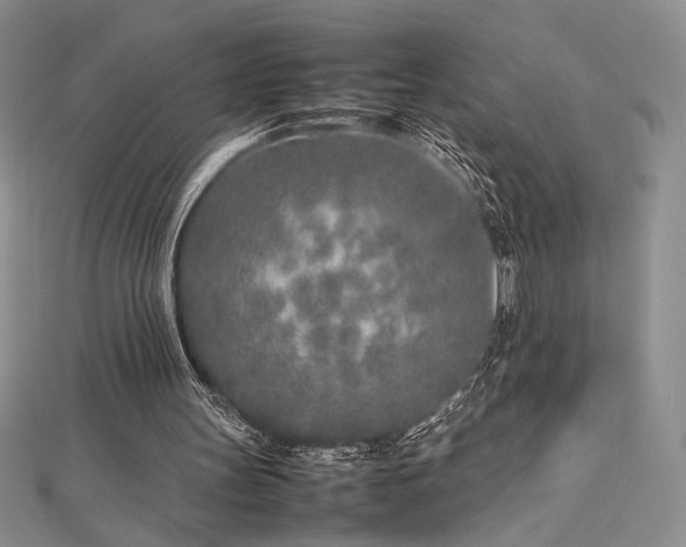 X0000113030147200908271502