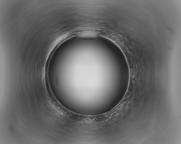 X0000113030148200908271502