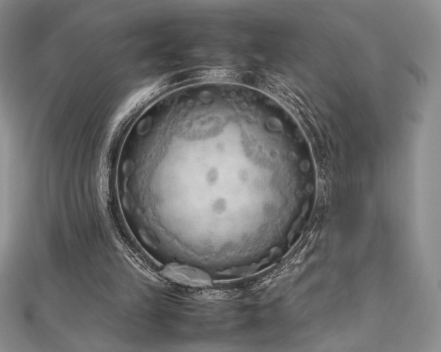 X0000113030149200908271502