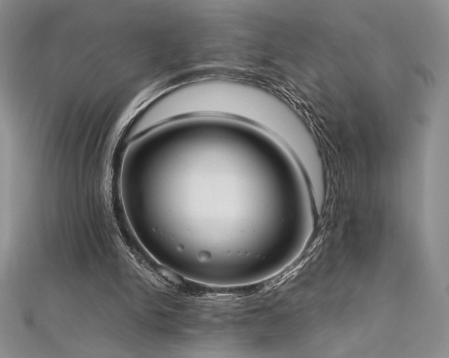 X0000113030150200908271502