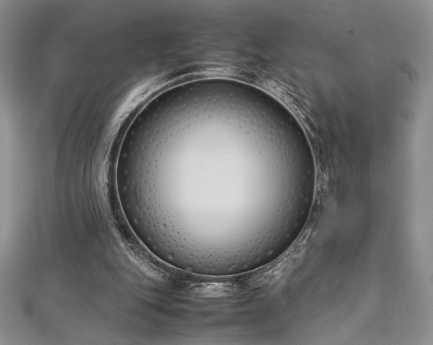 X0000113030151200908271502