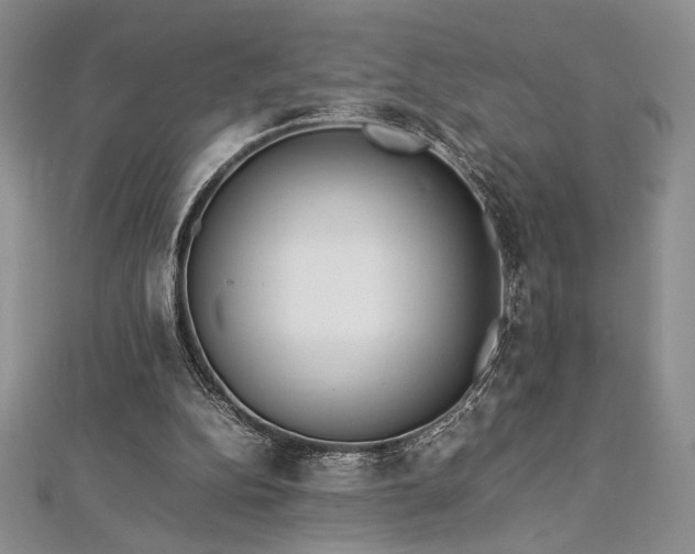 X0000113030152200908271502