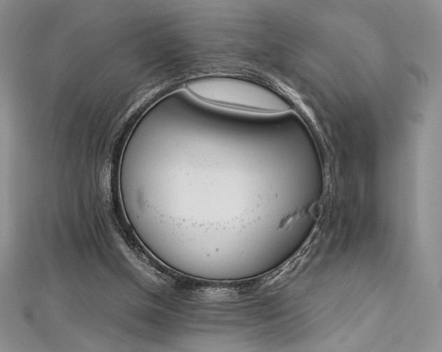 X0000113030154200908271502