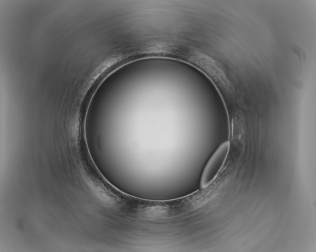 X0000113030156200908271502