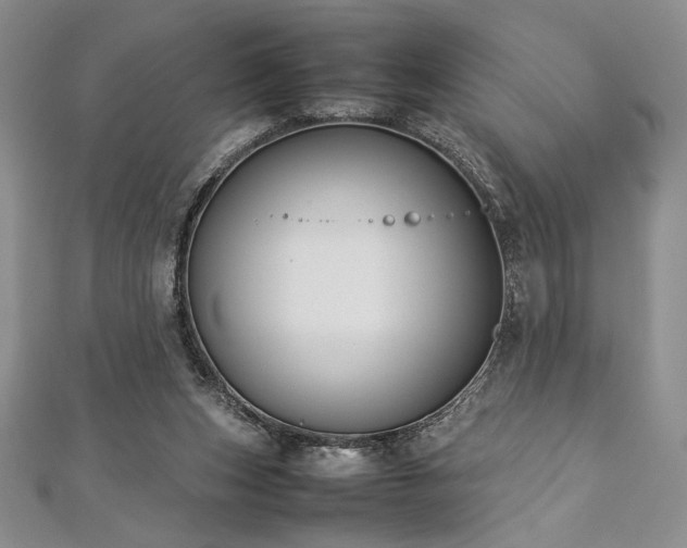 X0000113030159200908271502