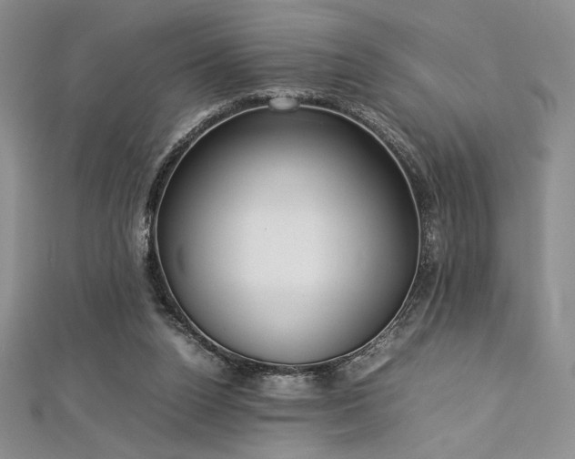 X0000113030160200908271502