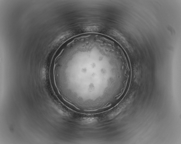 X0000113030161200908271502