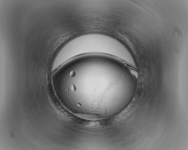 X0000113030162200908271502