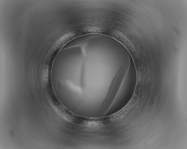 X0000113030163200908271502