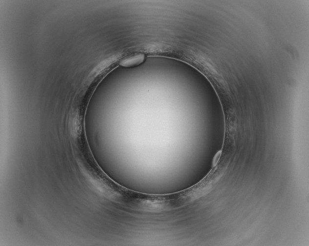 X0000113030164200908271502