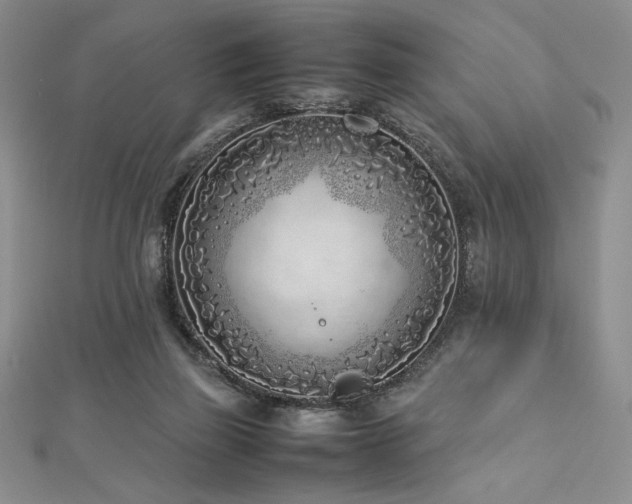 X0000113030165200908271502