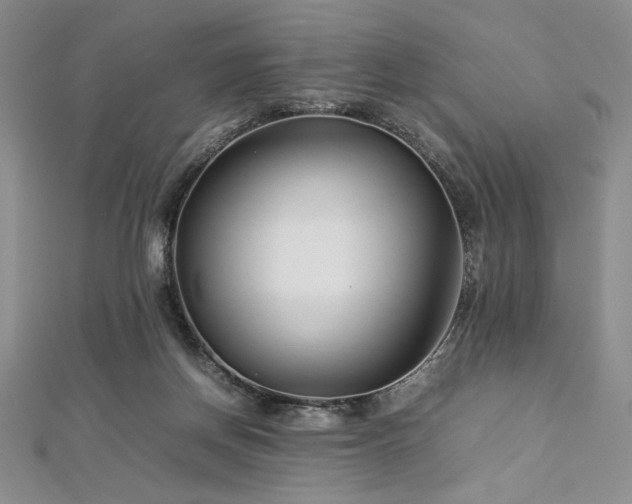 X0000113030166200908271502