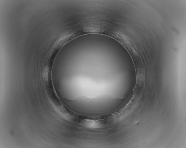 X0000113030167200908271502