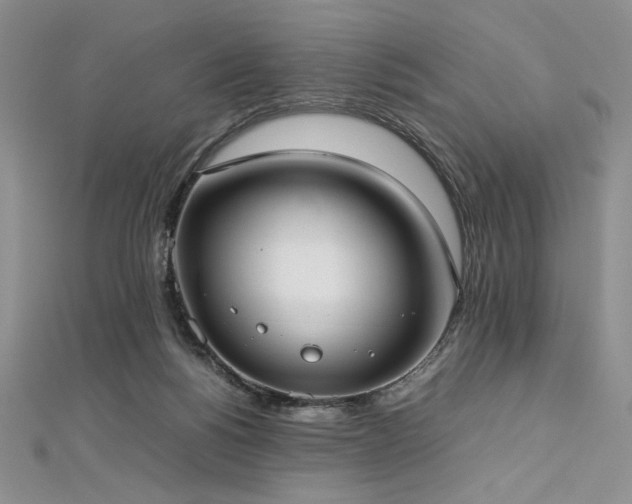 X0000113030168200908271502