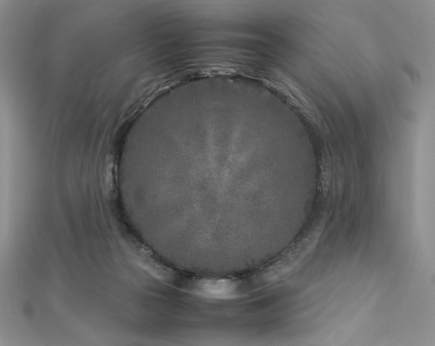 X0000113030169200908271502