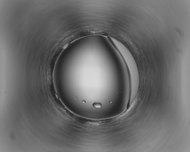 X0000113030170200908271502