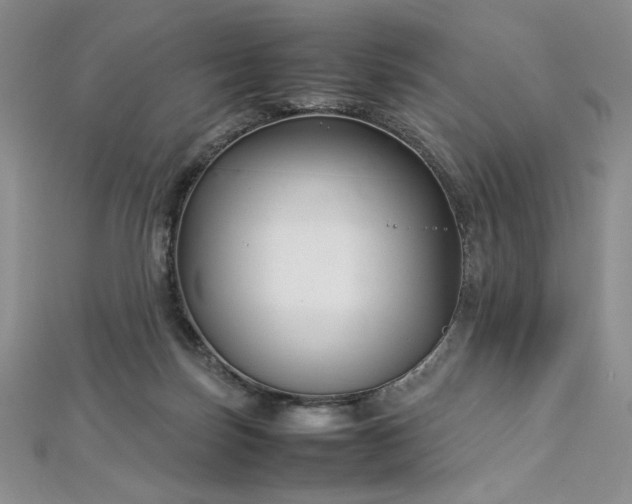 X0000113030171200908271502