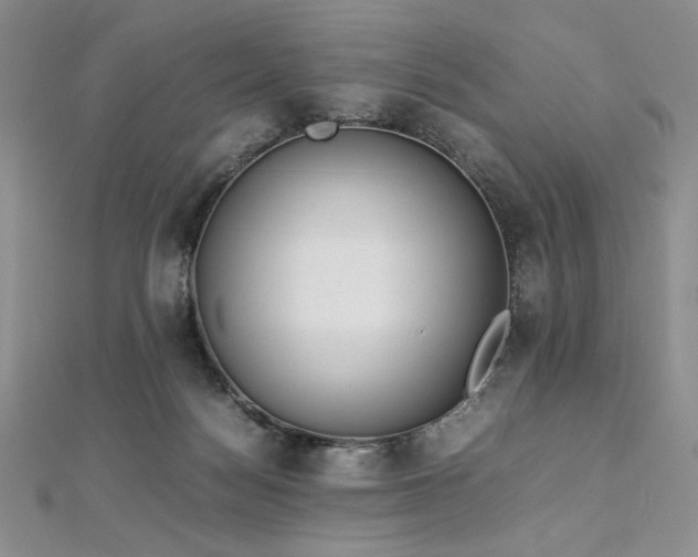 X0000113030172200908271502