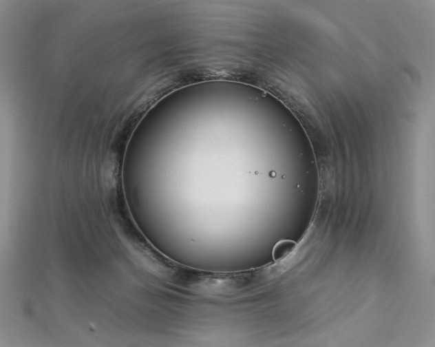 X0000113030174200908271502