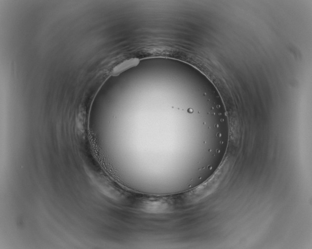 X0000113030175200908271502