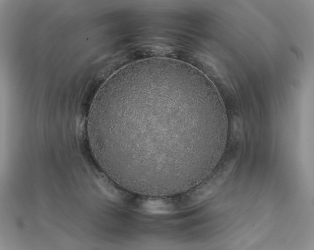 X0000113030177200908271502