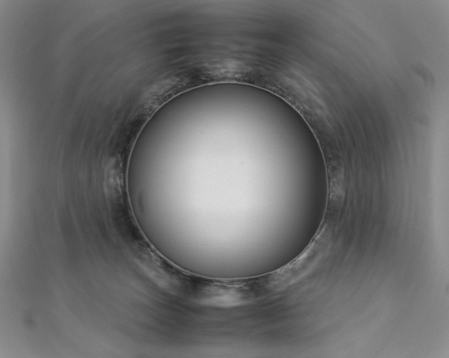 X0000113030179200908271502