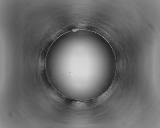 X0000113030180200908271502