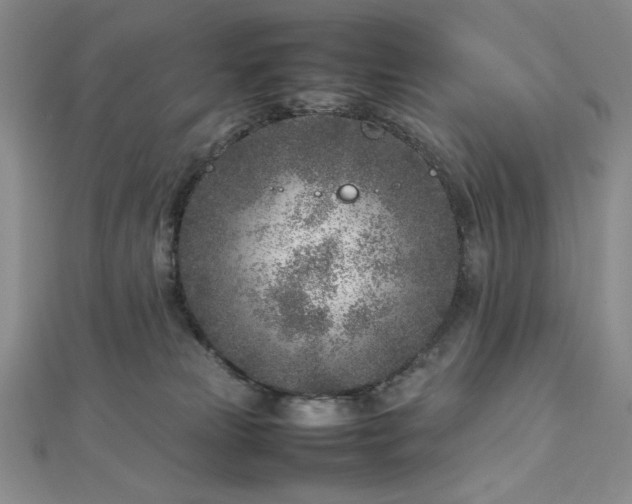 X0000113030181200908271502