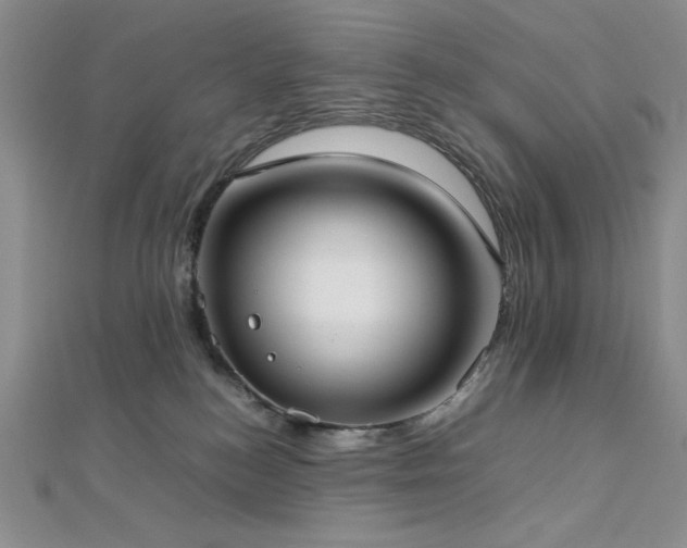 X0000113030184200908271502