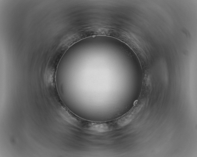 X0000113030185200908271503