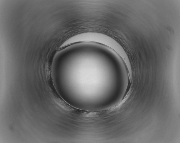 X0000113030186200908271503