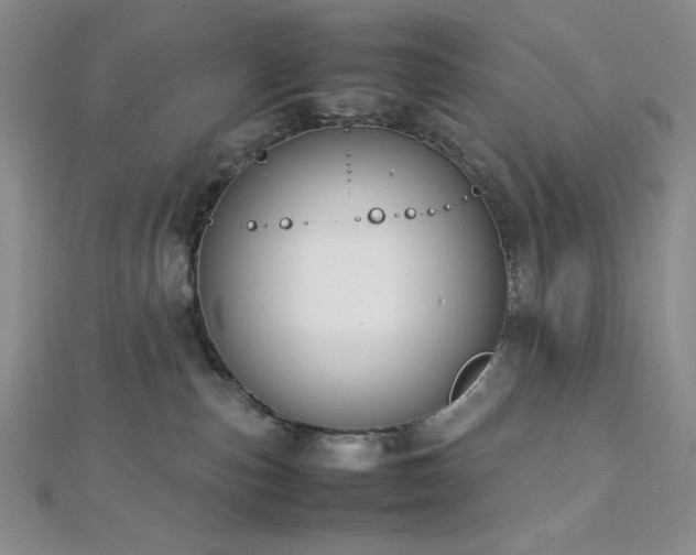 X0000113030187200908271503