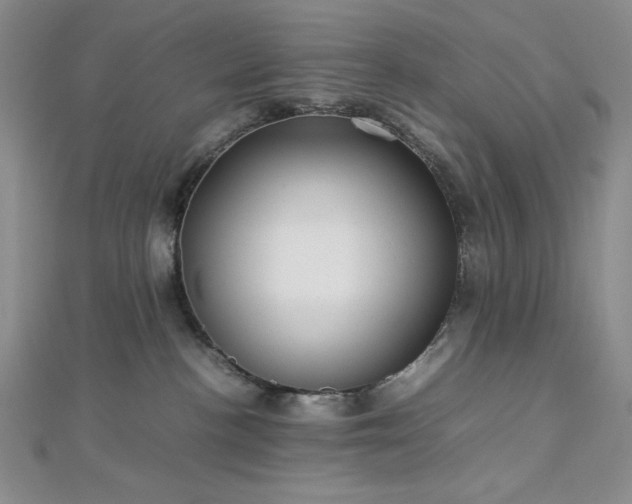 X0000113030188200908271503