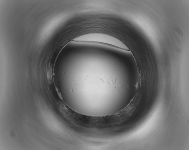 X0000113030190200908271503