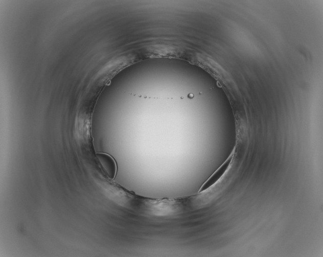 X0000113030191200908271503