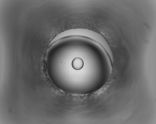 X0000113030192200908271503