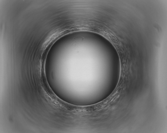 X0000113030194200908271502