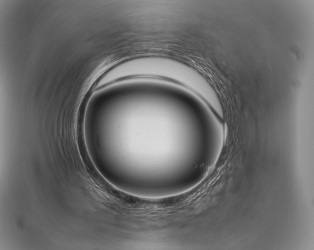 X0000113030195200908271502