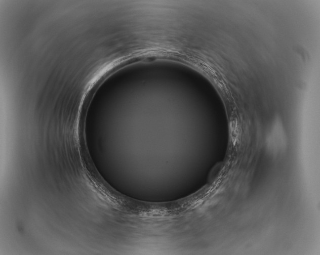 X0000113030196200908271502