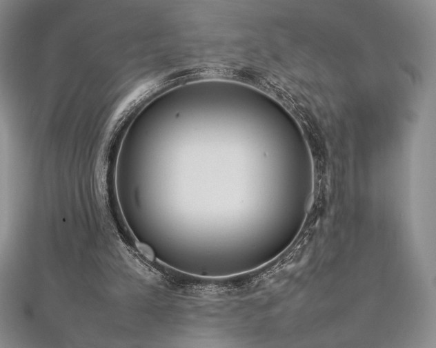 X0000113030197200908271502