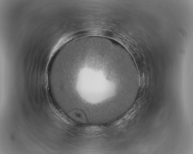 X0000113030198200908271502