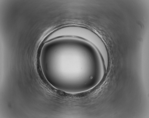 X0000113030199200908271502