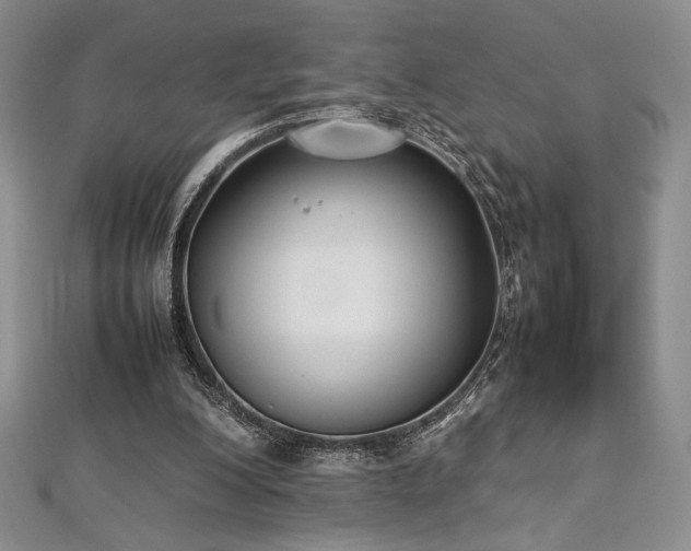 X0000113030200200908271502